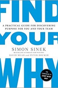 Find Your Why: Panduan Praktis untuk Menemukan Tujuan Anda dan Tim Anda