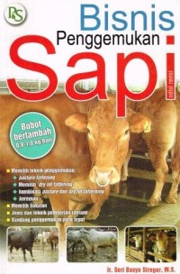 Bisnis Penggemukan Sapi