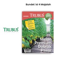 Melon Premium Dobrak Pasar