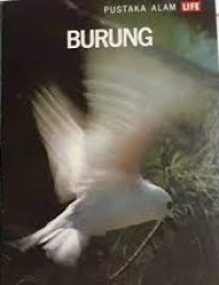 Burung