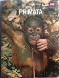 Primata
