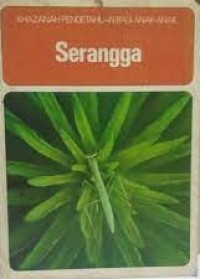 Serangga